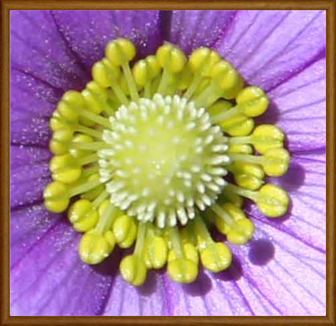 Original Paintings For Sale in Austin Texas